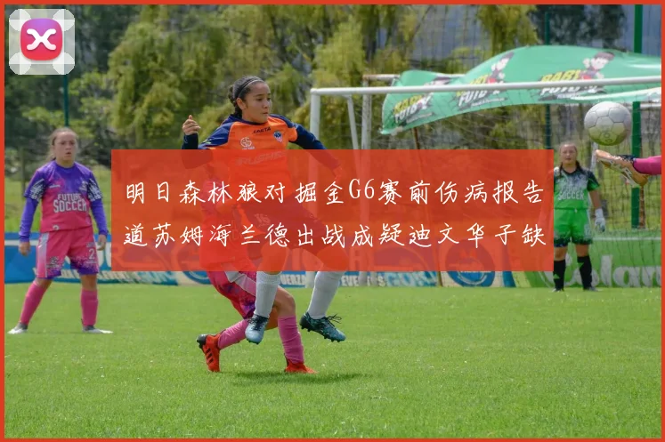 明日森林狼对掘金G6赛前伤病报告道苏姆海兰德出战成疑迪文华子缺阵